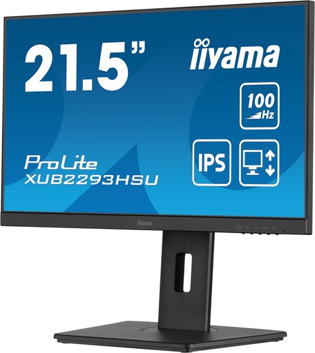 [MON0006] IIYAMA XUB2293HSU-B6 IPS HP DP-HDMI HUB USB Pivot