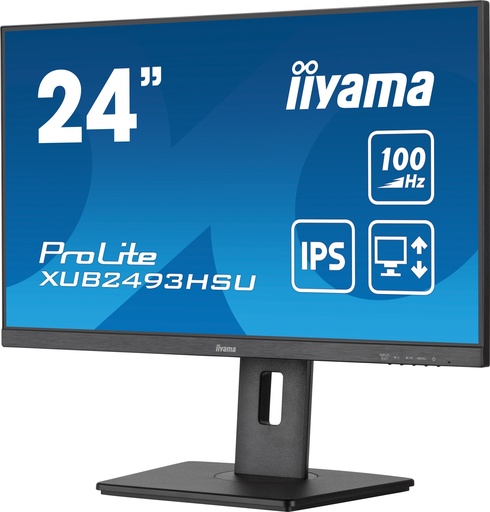 [MON0010] IIYAMA XUB2493HSU-B6 IPS HP DP-HDMI HUB USB PIVOT