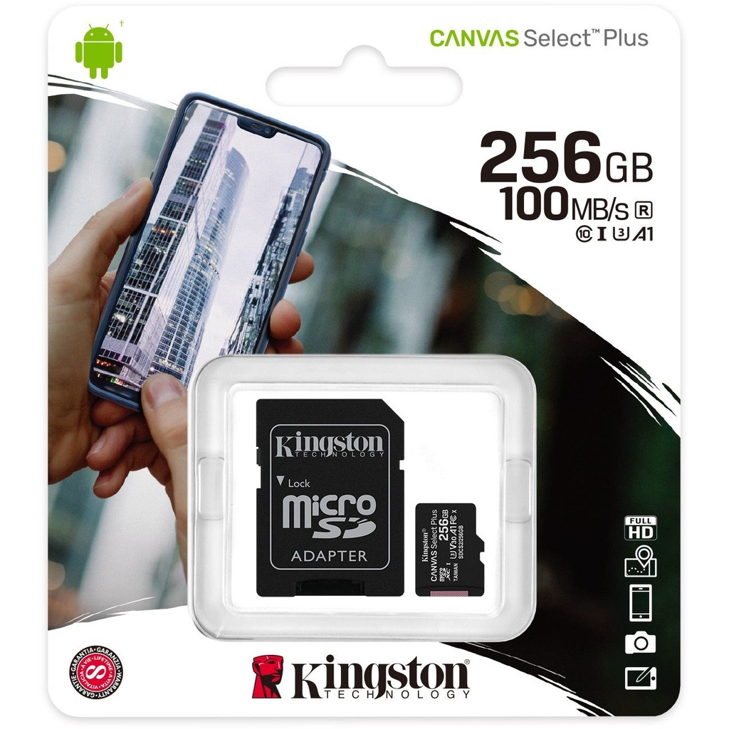 Kingston Micro SDHX 256 Go Classe 10 100 Mo/s + Adaptateur SD