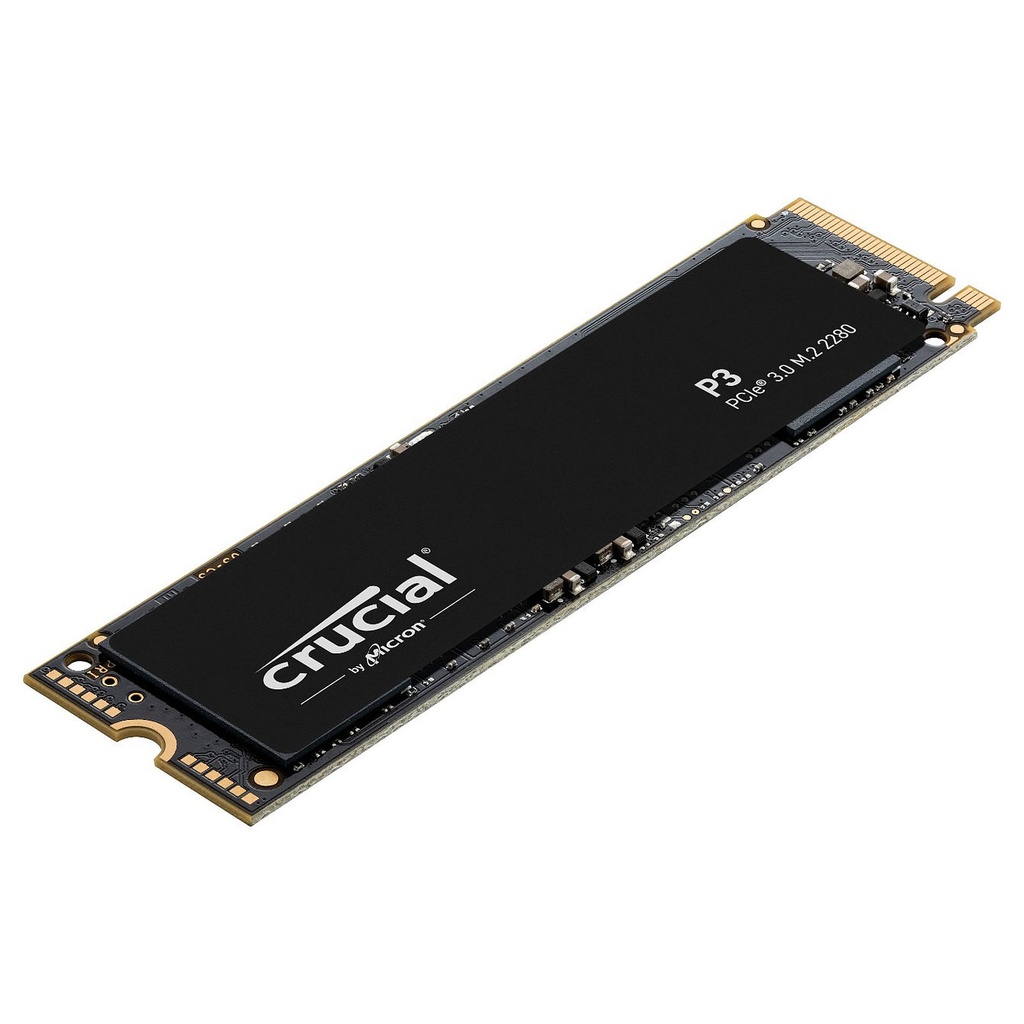 Crucial P3 500 Go CT500P3SSD8