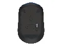 M171-1.webp