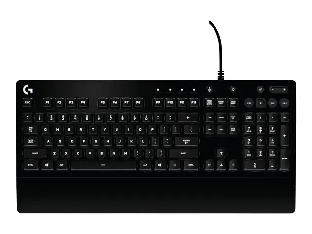 G213-4.webp
