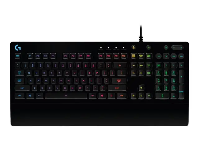 G213-1.webp