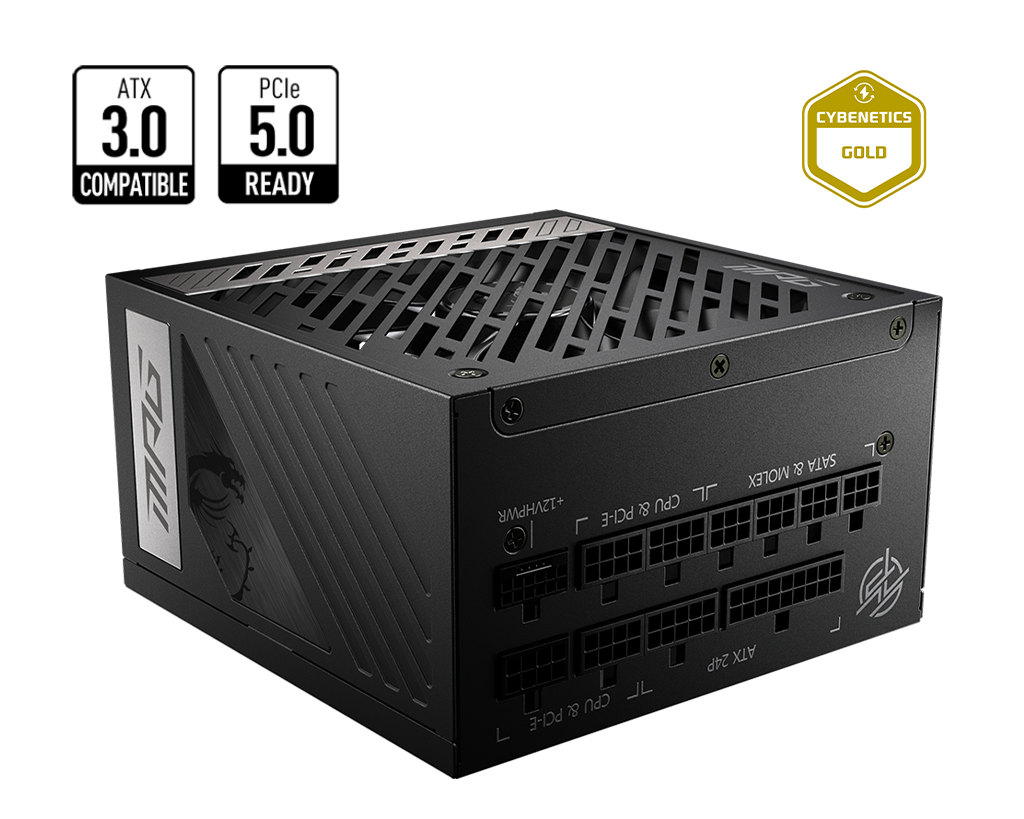 Msi MPG A1000G PCIE5  1000W - ATX - 80Plus Gold - Support PCIe Gen 5.0  (10 ans constructeur)