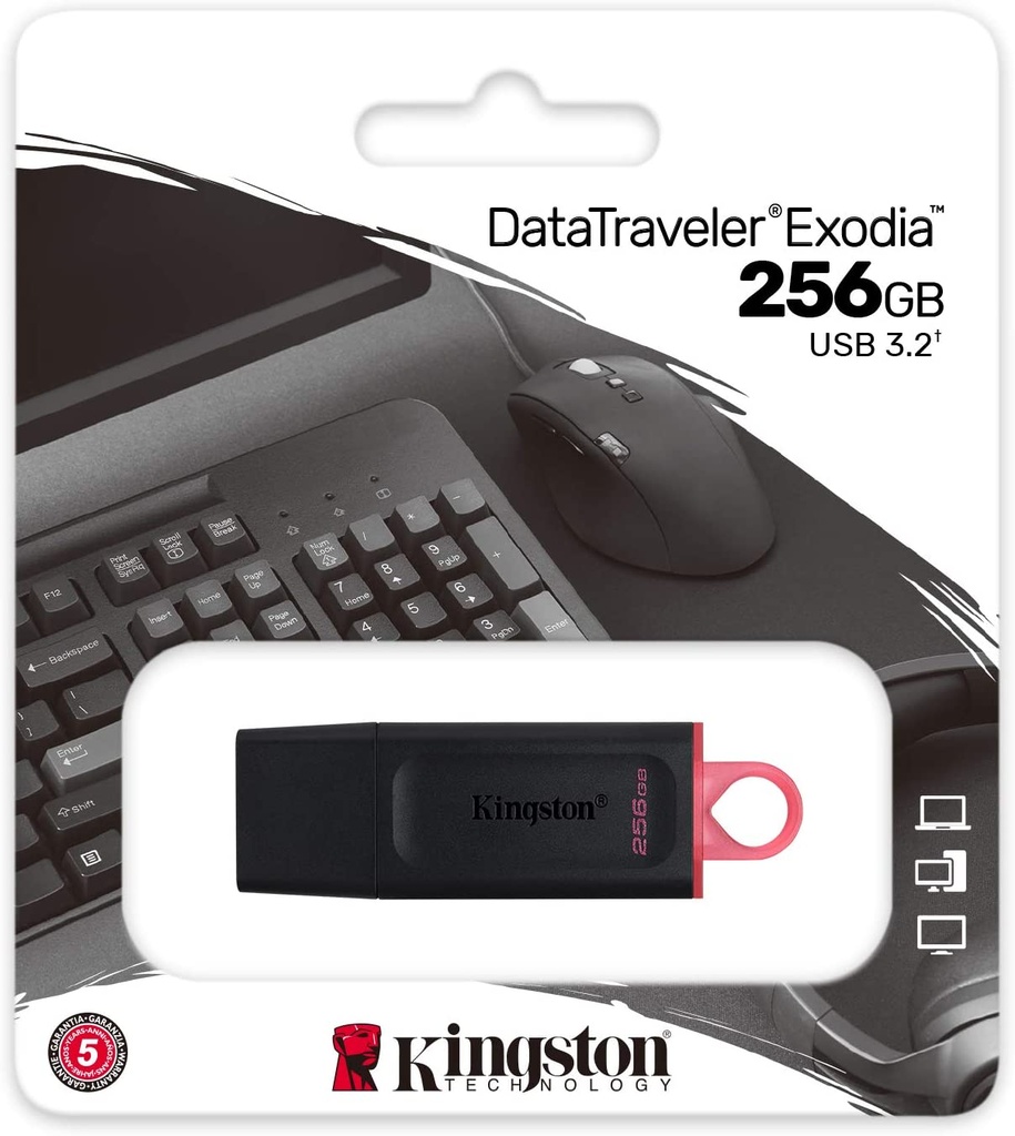 Kingston DataTraveler Exodia 256 Go - USB 3.2 Gen 1 