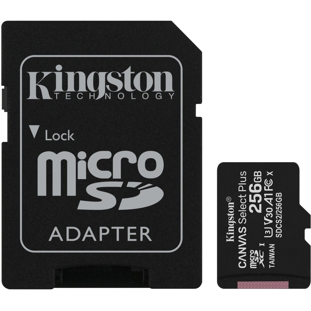 Kingston Micro SDHX 256 Go Classe 10 100 Mo/s + Adaptateur SD