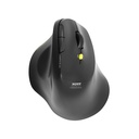 PORT Souris ERGO SOFT sans fil 2.4GHz & Bluetooth rechargeable 910200
