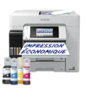 Epson EcoTank Pro ET-5885 5 ans sur site