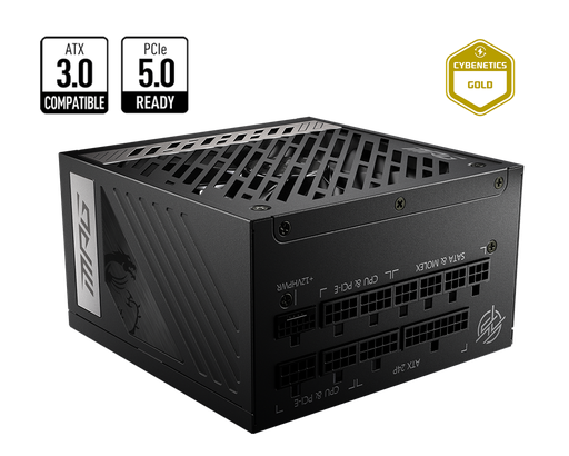 [ALI0018] Msi MPG A1000G PCIE5  1000W - ATX - 80Plus Gold - Support PCIe Gen 5.0  (10 ans constructeur)